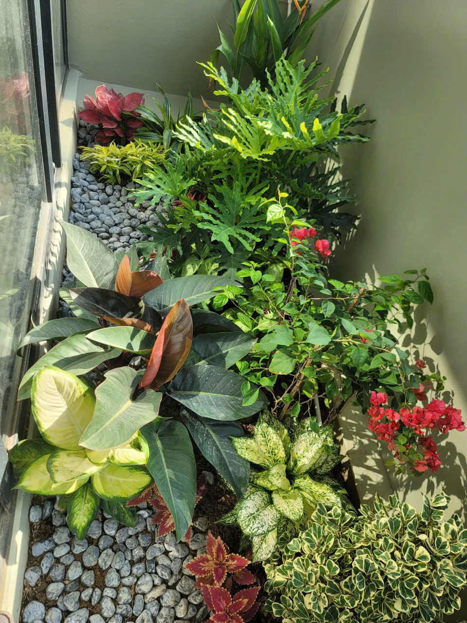 Dự án tiểu cảnh vườn nhà phố Long Biên 